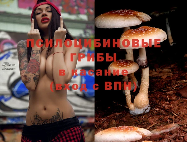 дурь Кукмор