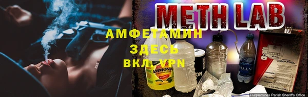 ECSTASY Лагань