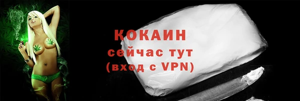 ECSTASY Лагань