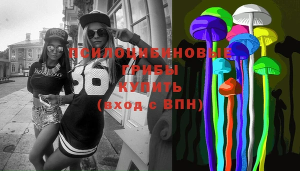 ECSTASY Лагань