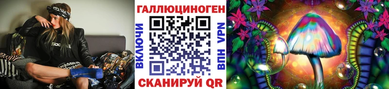 Купить где  Светлогорск  Псилоцибиновые грибы GOLDEN TEACHER 