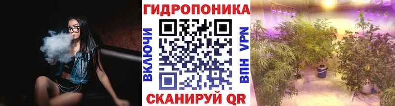 Купить закладки  Светлогорск  МАРИХУАНА THC 21% 
